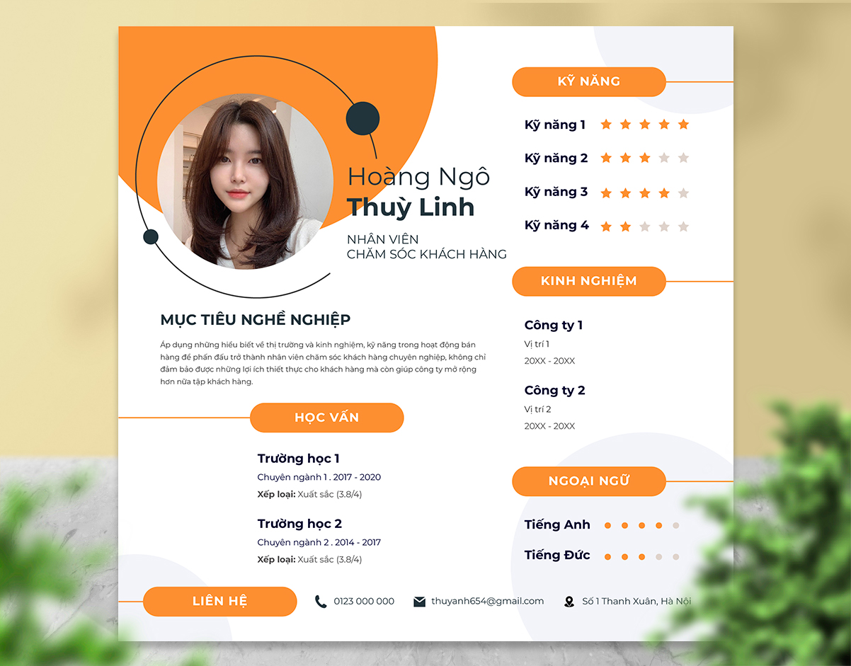Mẫu 43