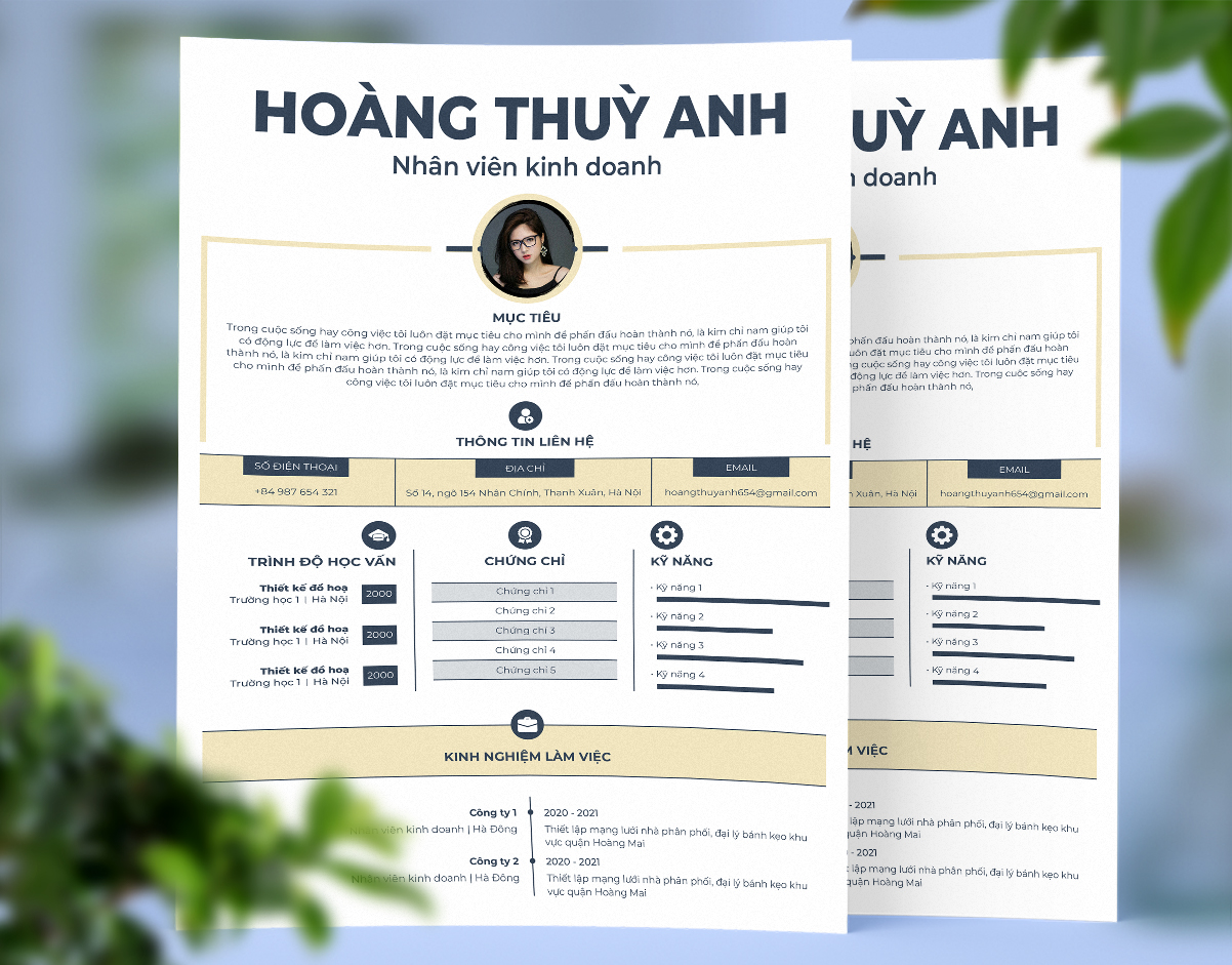 Mẫu 47